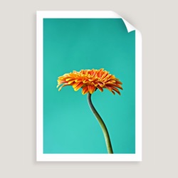 Photographic art prints