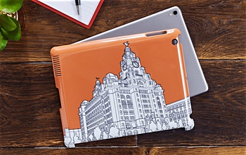 iPad cases